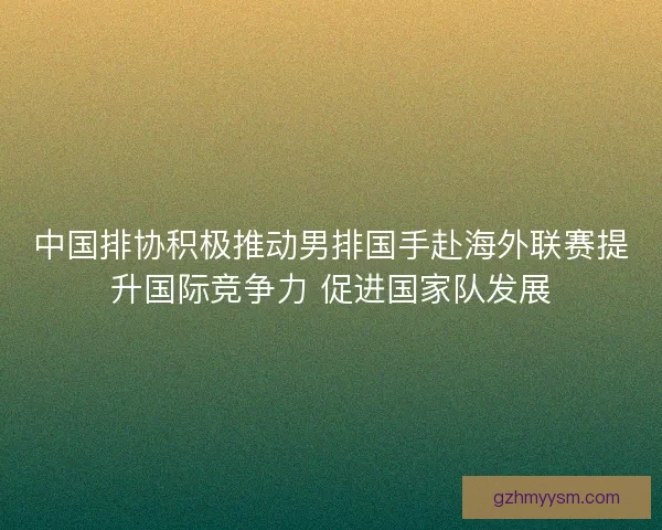 中国排协积极推动男排国手赴海外联赛提升国际竞争力 促进国家队发展