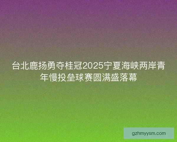 台北鹿扬勇夺桂冠2025宁夏海峡两岸青年慢投垒球赛圆满盛落幕