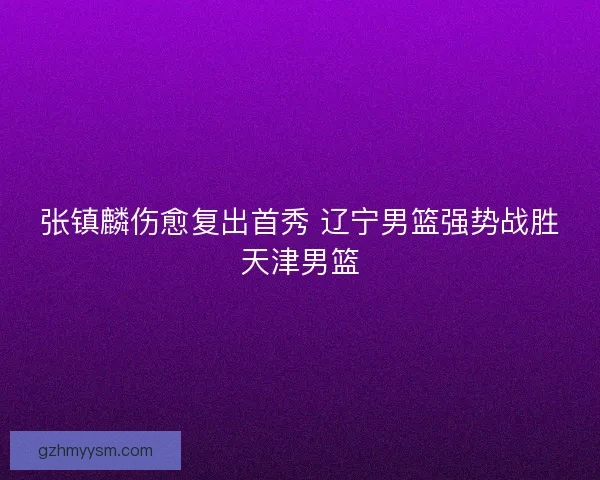 张镇麟伤愈复出首秀 辽宁男篮强势战胜天津男篮